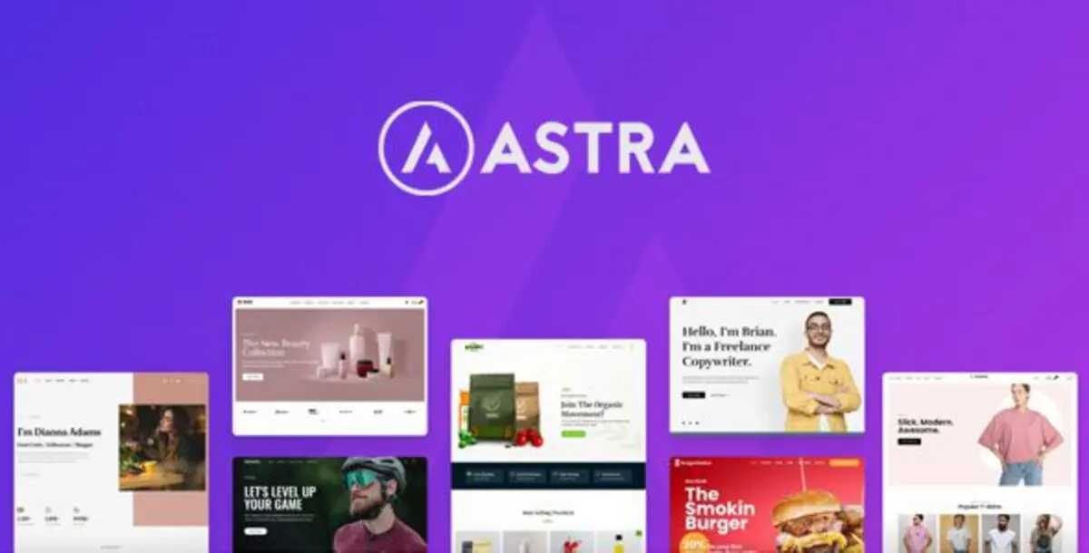Astra Theme + Portfolio 1.13.3 – Most Popular WordPress Themes