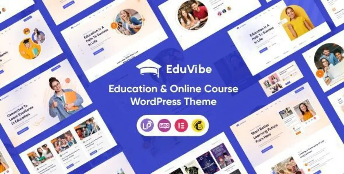 EduVibe   – Education & Online Course WordPress Themes 1