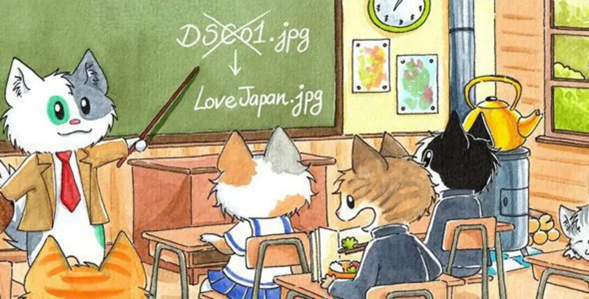 Media File Renamer Pro.